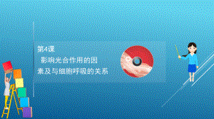 2021届一轮复习人教版影响光合作用的因素与细胞呼吸关系课件(118张).ppt