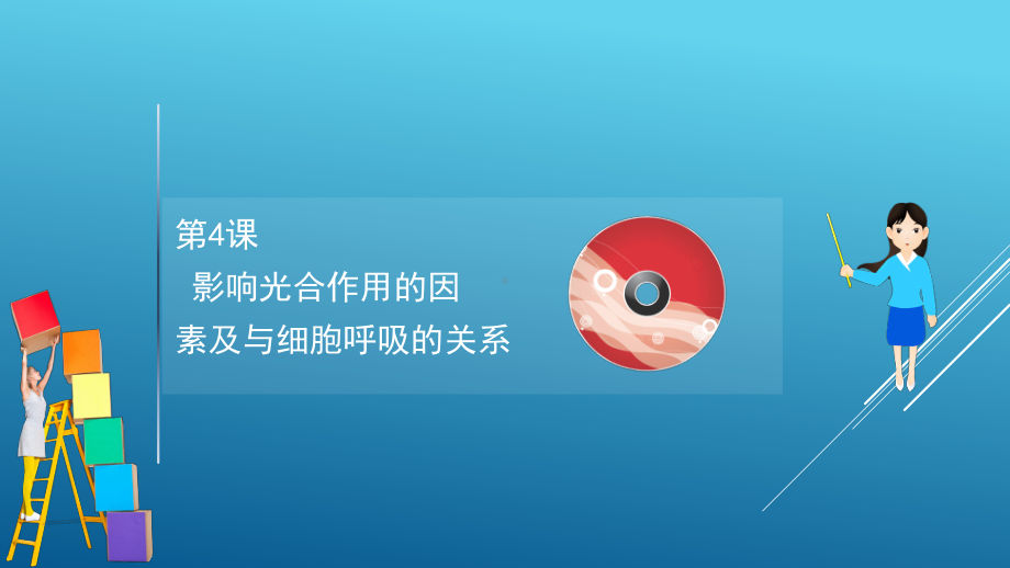 2021届一轮复习人教版影响光合作用的因素与细胞呼吸关系课件(118张).ppt_第1页