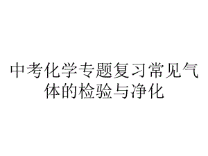 中考化学专题复习常见气体的检验与净化.ppt