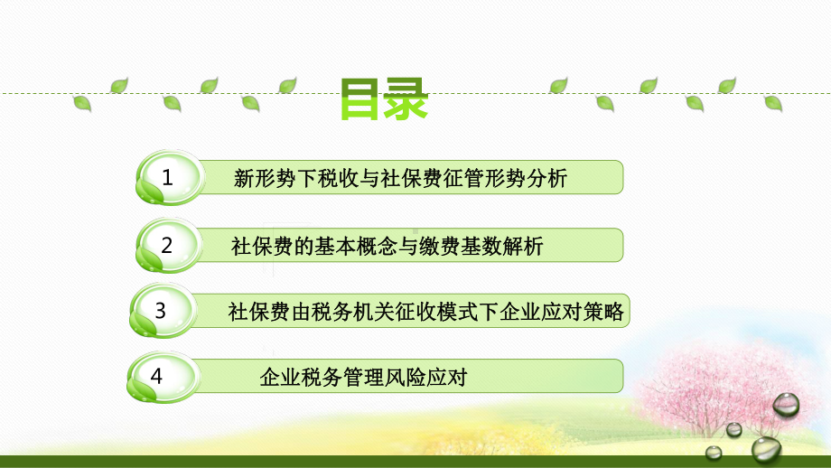 新形势下社保深度解析与企业税务管理风险电子版课件.pptx_第3页