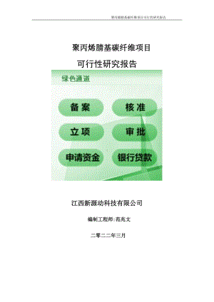 聚丙烯腈基碳纤维项目可行性研究报告-申请建议书用可修改样本.doc