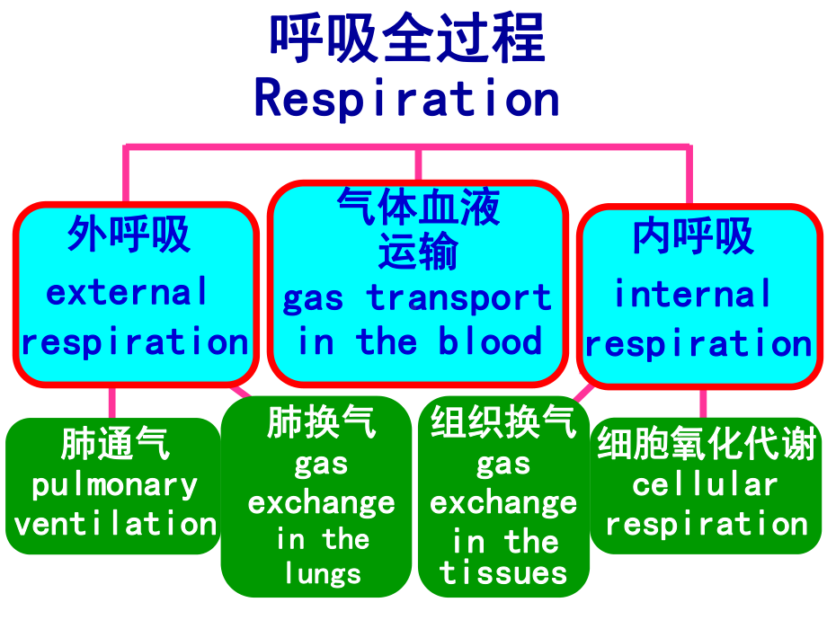 呼吸衰竭课件-2.ppt_第2页