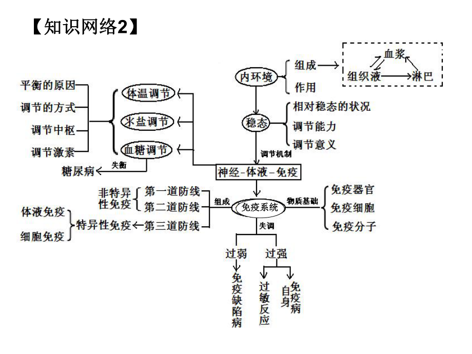 高中生物必修三第二章动物和人体生命活动的调节课件.ppt_第3页