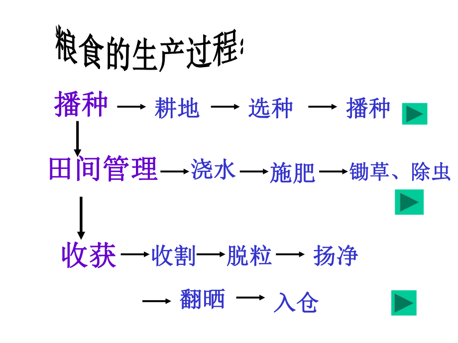 《节约粮食、杜绝浪费》主题班会课件.ppt_第3页