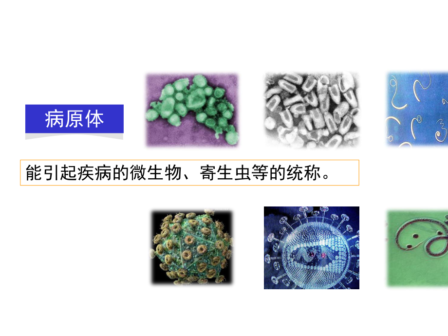 初中生物《人体的免疫功能》教学课件.ppt_第3页