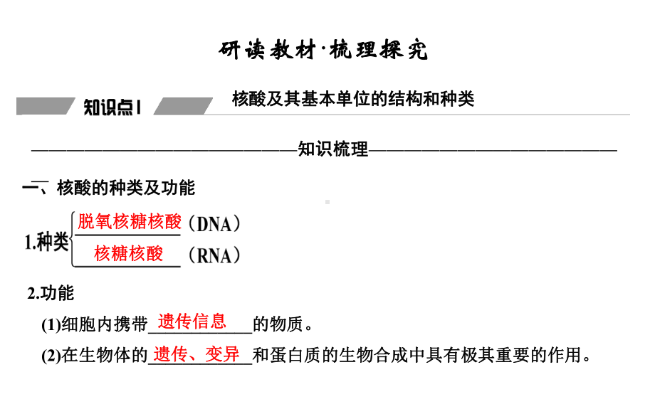 高中生物一轮复习：核酸是遗传信息的携带者课件.ppt_第3页