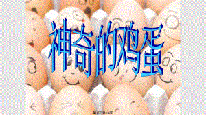 神奇的鸡蛋课件.pptx