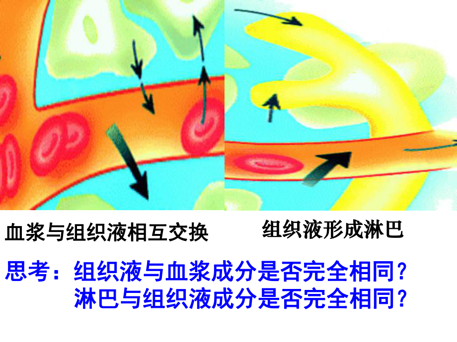 细胞外液成分和理化性质(实用)课件.ppt_第1页