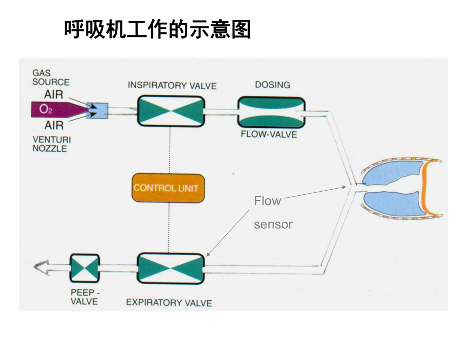 机械通气波形分析课件.ppt_第2页