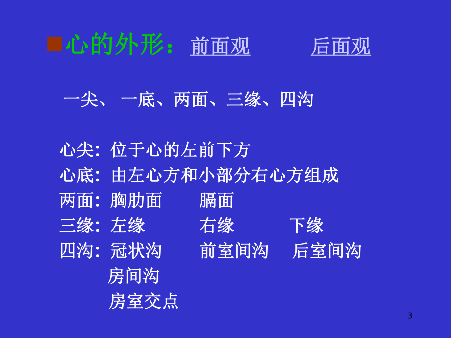 《心血管系统》课件2.ppt_第3页