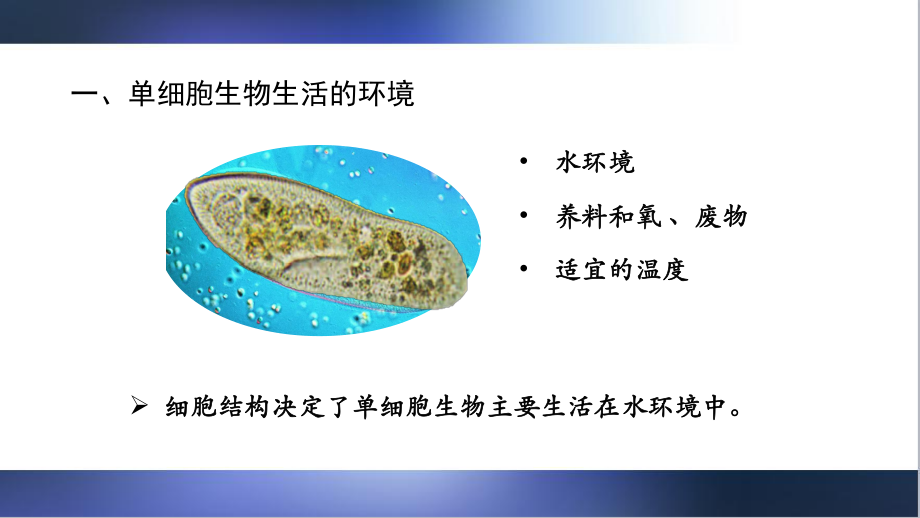 人教版高二生物选择性必修1第1节细胞生活的环境2课件.pptx_第3页