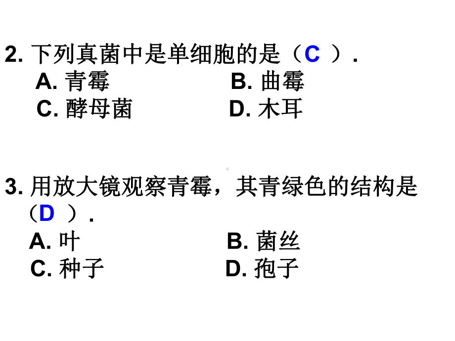 细菌和真菌在自然界中的作用课件.ppt_第2页