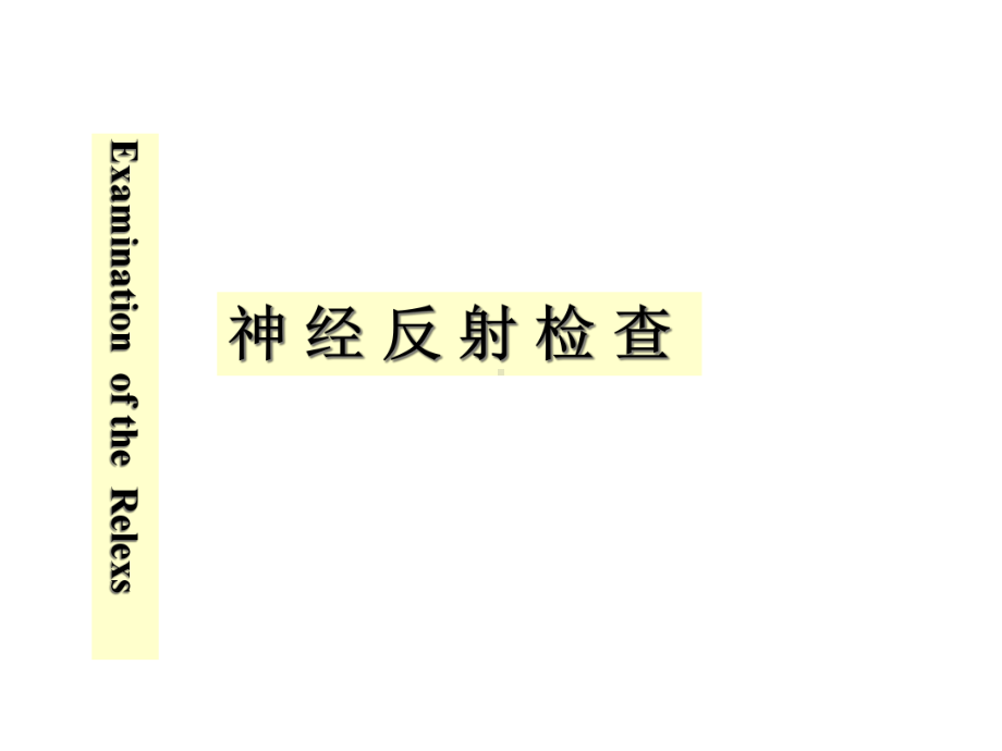 神经反射的检查课件.ppt_第3页