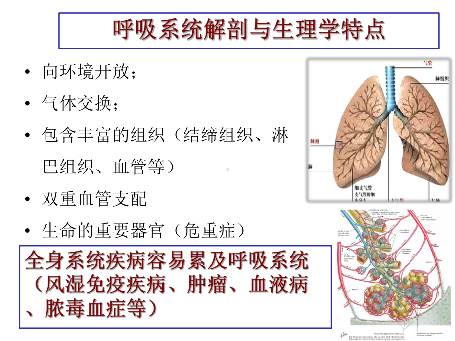 建立符合现代呼吸病学学科发展规律的学科发展模式.pptx_第3页