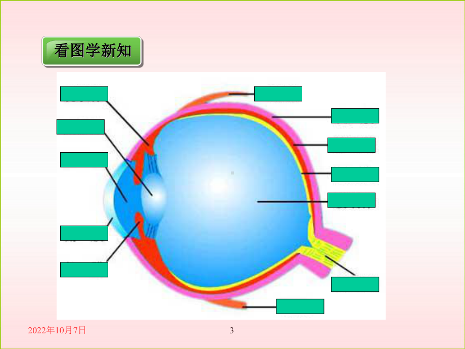 人体对周围世界的感知.ppt_第3页