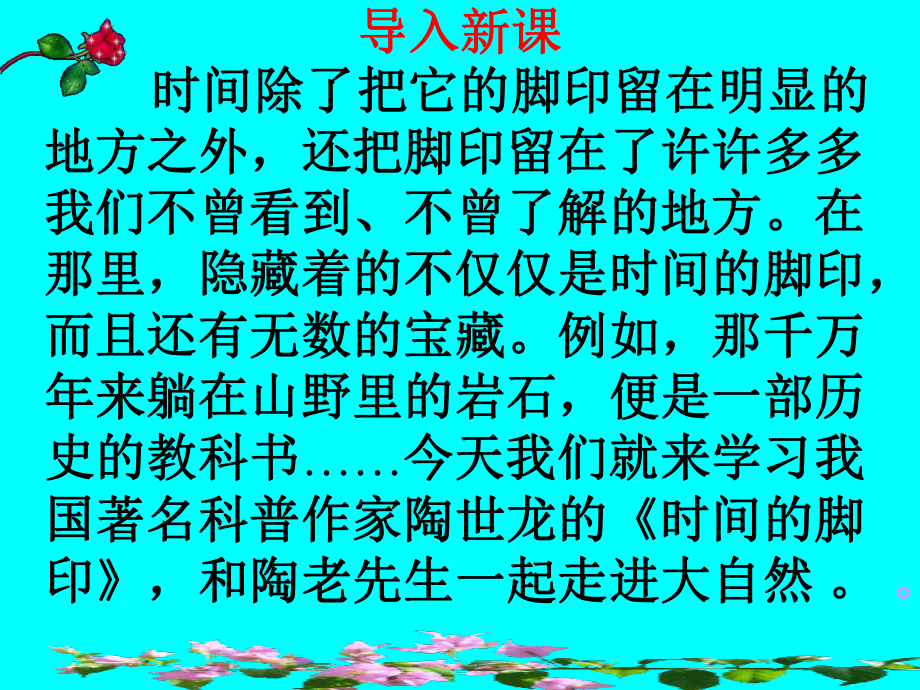 时间的脚印课件.ppt_第1页