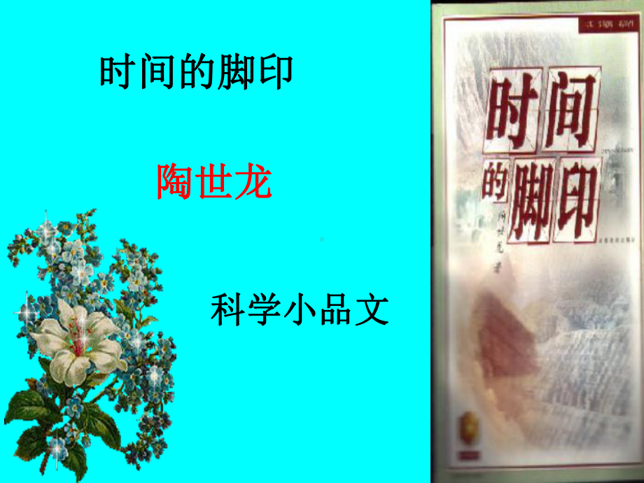 时间的脚印课件.ppt_第2页