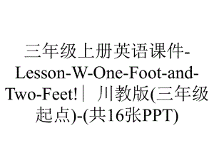 三年级上册英语课件-Lesson-W-One-Foot-and-Two-Feet!∣川教版(三年级起点)-(共16张PPT).ppt-(课件无音视频)