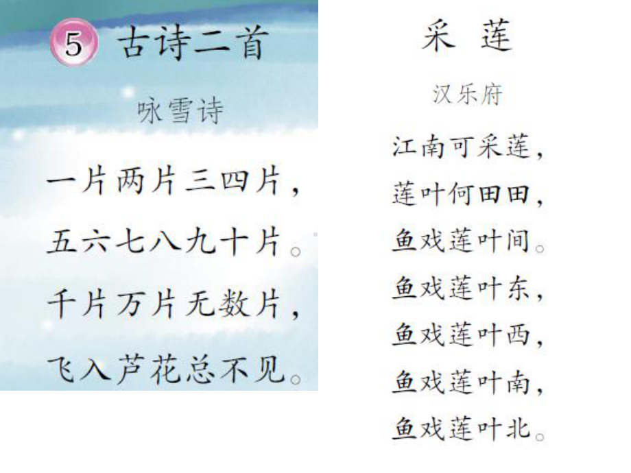 学前班识字13《鸟和虫》课件.ppt_第3页