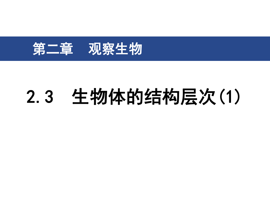 浙教版七年级上册科学23生物体的结构层次课件.ppt_第1页