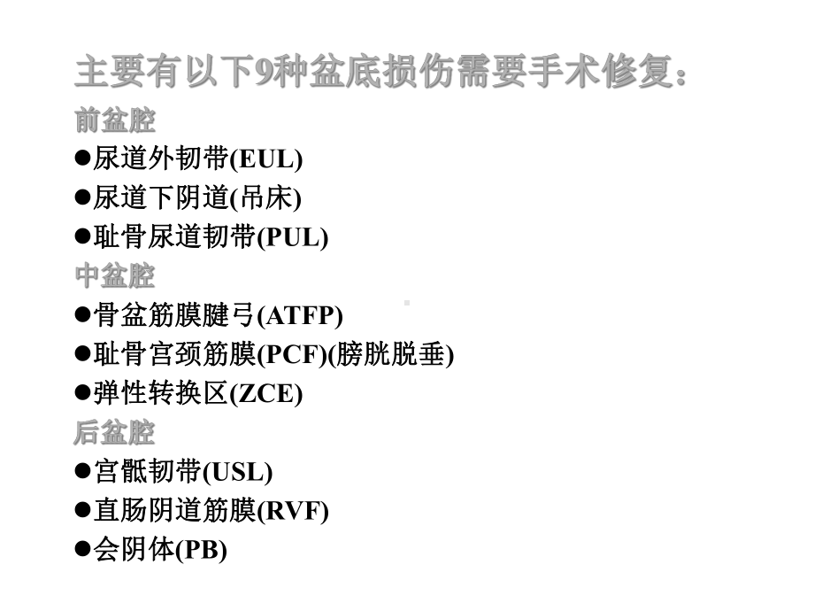 整体理论在盆底障碍性疾病诊治中的应用课件.ppt_第3页