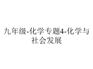 九年级化学专题4化学与社会发展.pptx