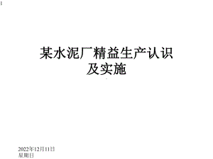 某水泥厂精益生产认识及实施课件.pptx