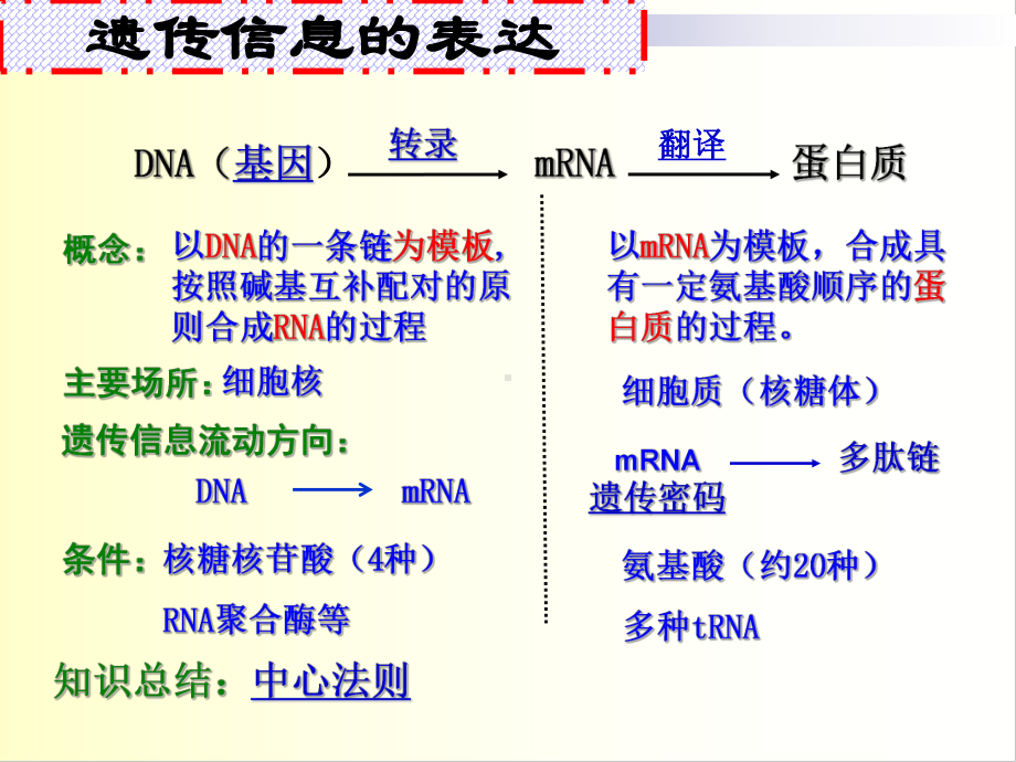 基因表达课件.ppt_第3页