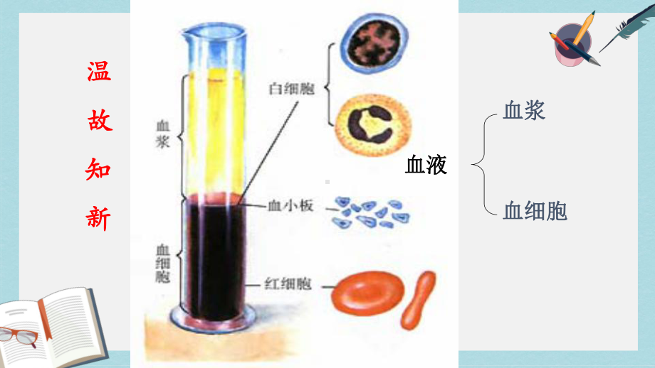 七年级生物下册人教版第四节输血与血型课件.ppt_第2页