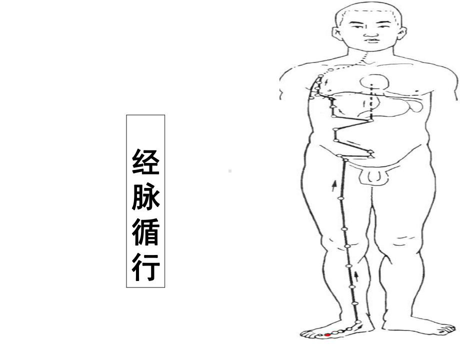 中医学脾经课件.ppt_第2页