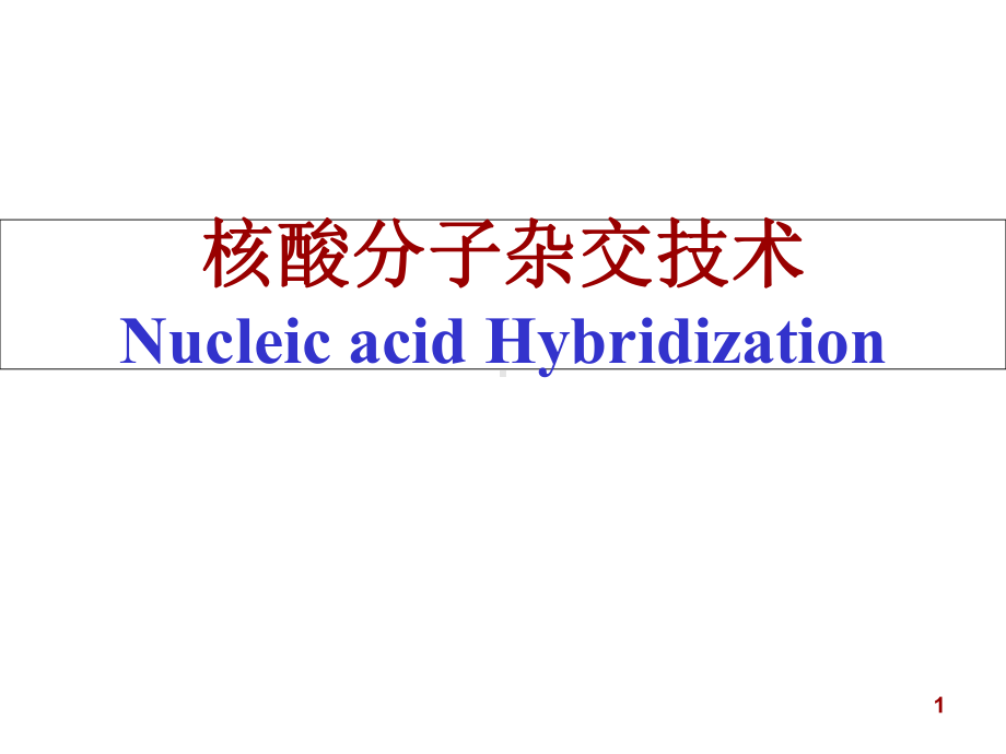 核酸分子杂交技术课件.ppt_第1页