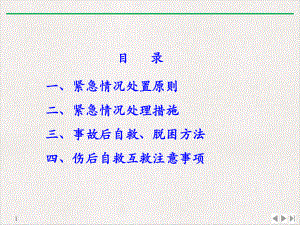 驾驶员紧急情况下应急措施演示课件.pptx