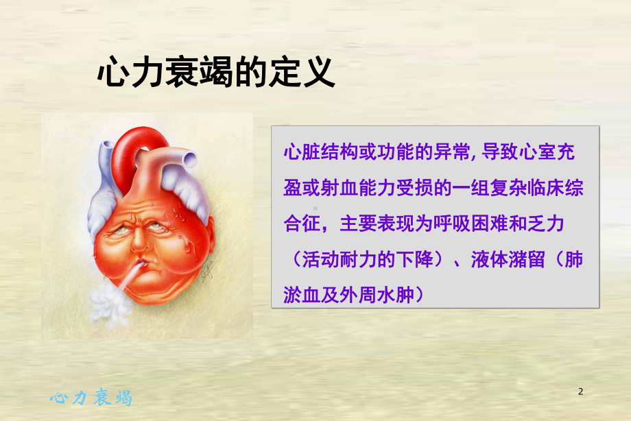 《心衰指南》课件2.ppt_第2页