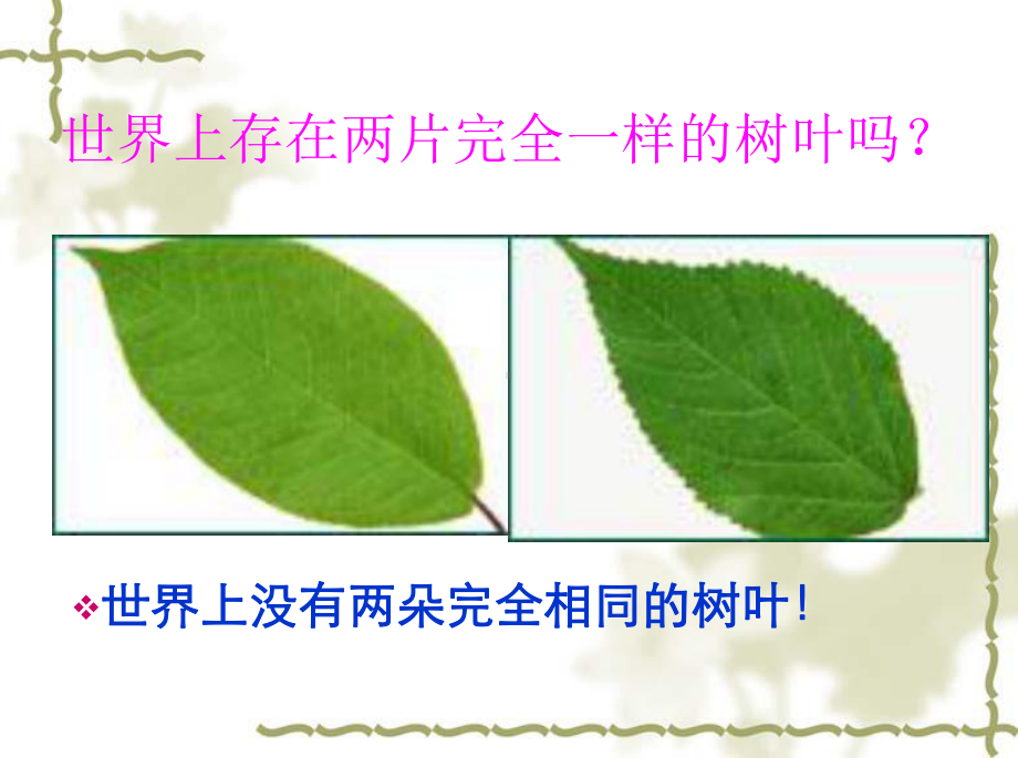 人的生命的独特性课件中学课件.ppt_第3页