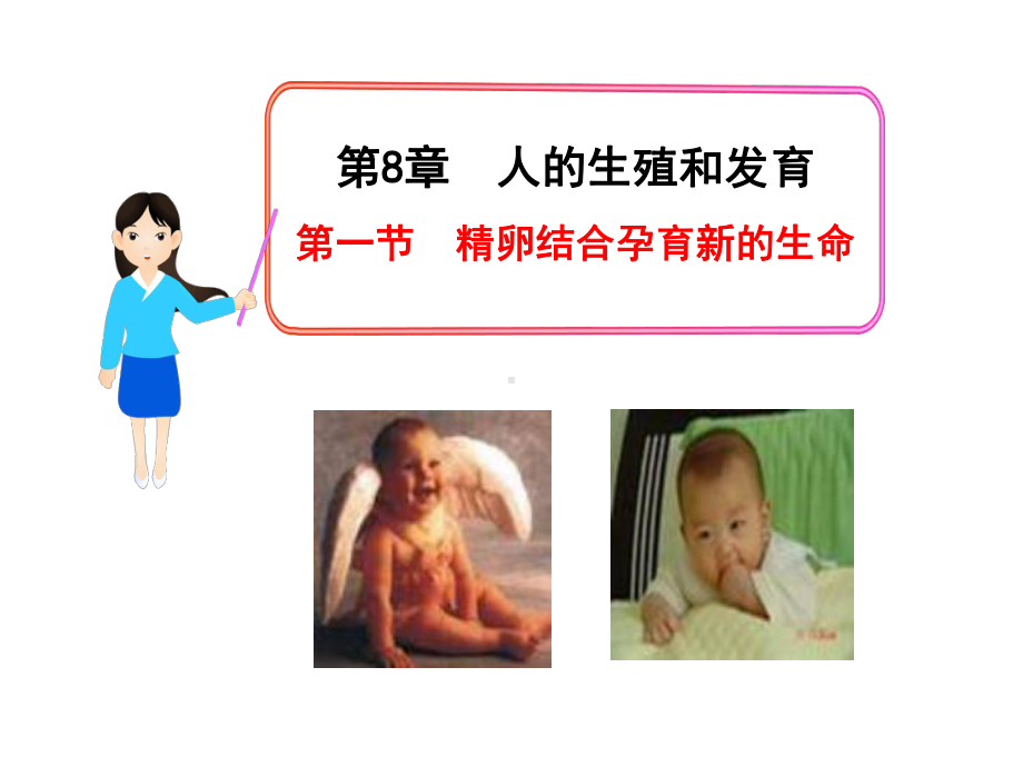 精卵结合孕育新的生命课件.ppt_第2页