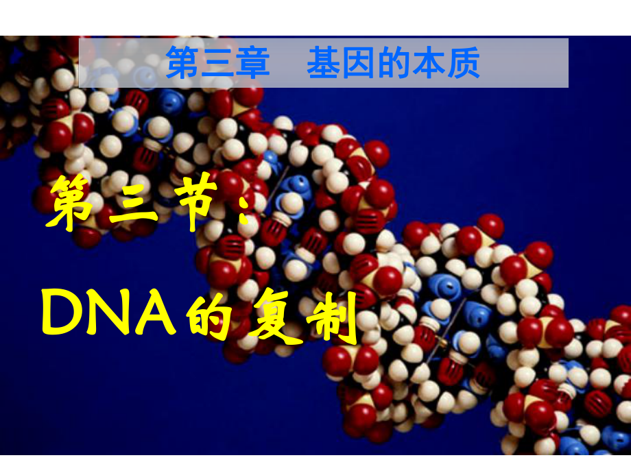 高中生物必修二课件33DNA的复制12人教版.ppt_第1页