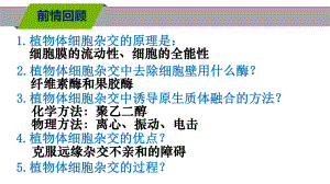 人教版高中生物选修3课件212植物细胞工程的实际应用.ppt