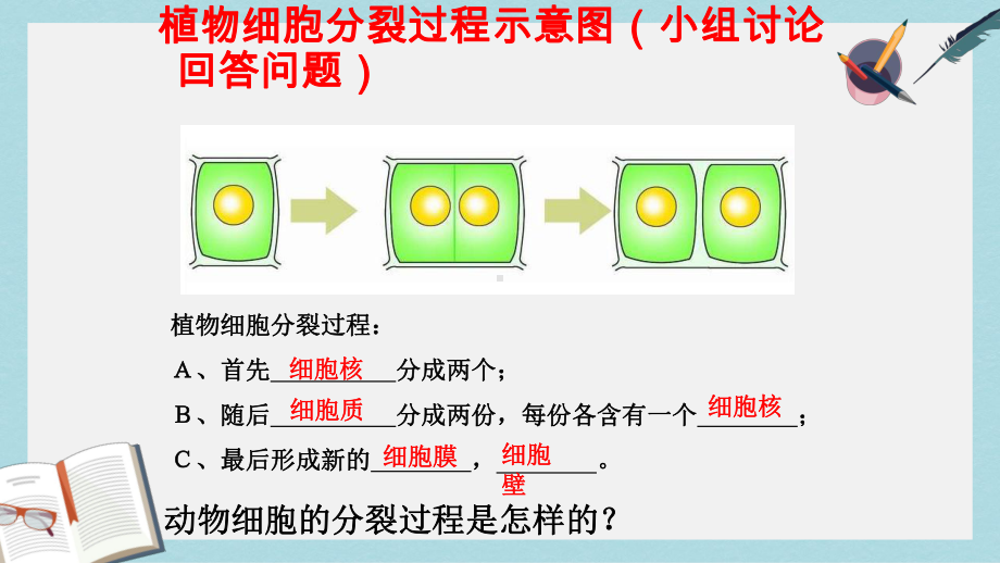 沪科版高中生命科学第二册第七章《细胞的分裂和分化》课件1.ppt_第3页