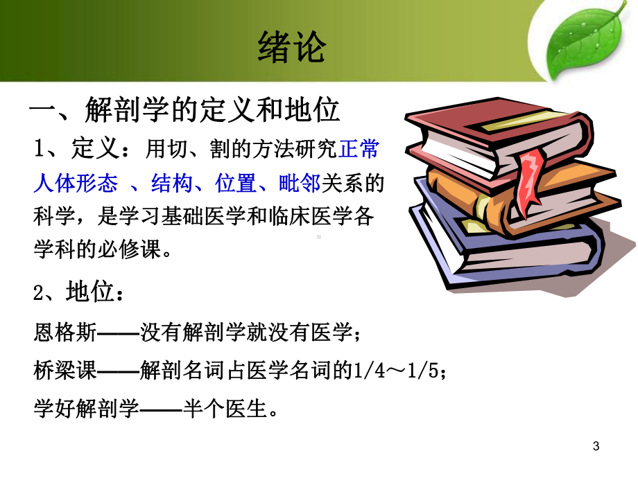 系统解剖学绪论+躯干骨+四肢骨1课件.ppt_第3页