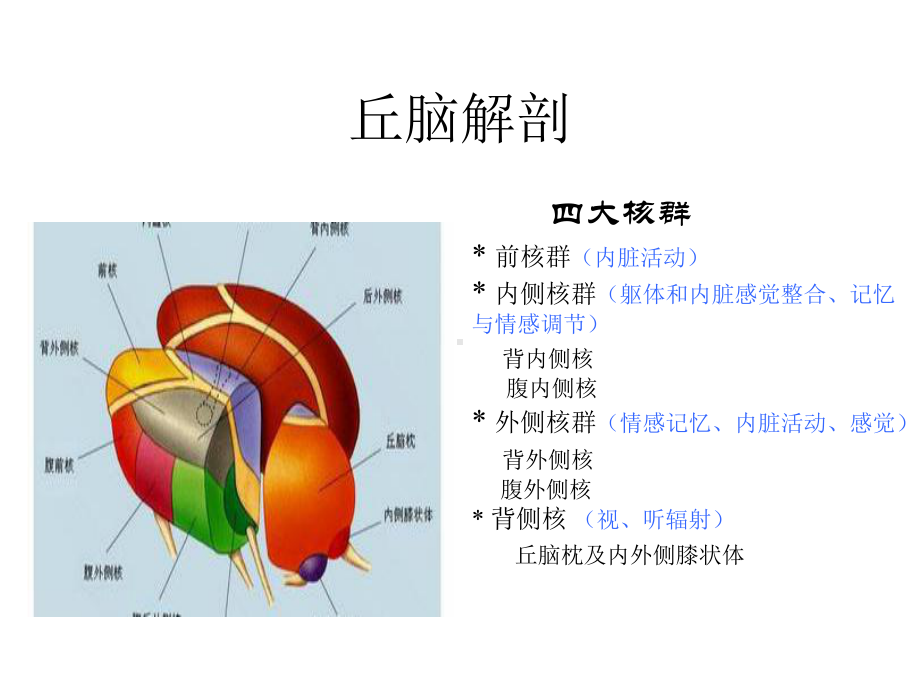 丘脑梗塞-医学精品.pptx_第3页