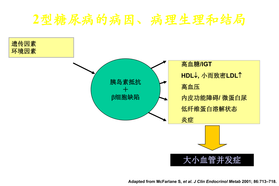 糖尿病药物治疗—问题与失误课件.ppt_第2页