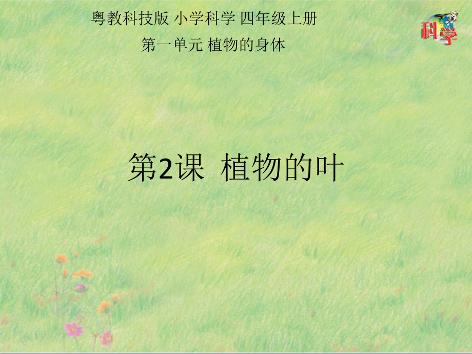 粤教版小学科学《植物的叶》教研课件1.pptx_第1页