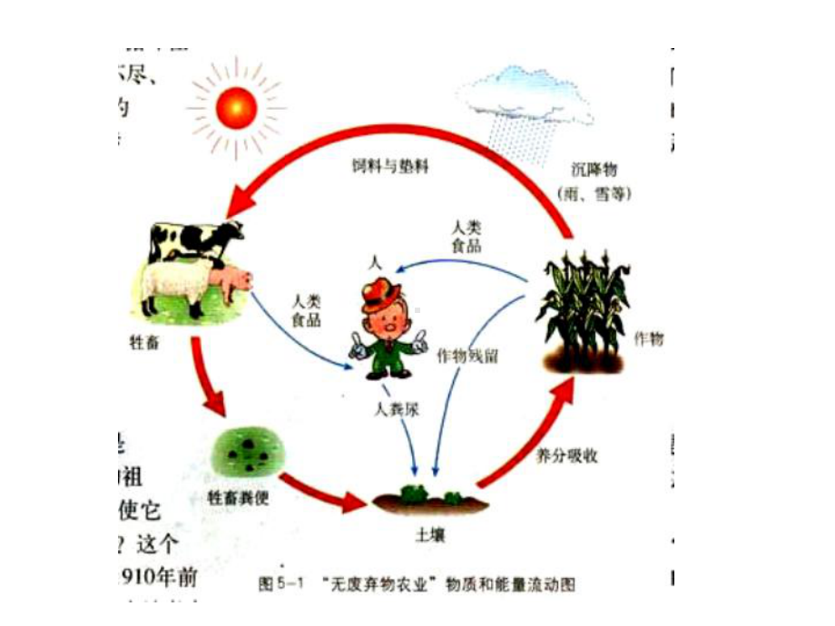 专题5生态工程-课件.ppt_第2页