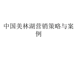 中国美林湖营销策略与案例.pptx