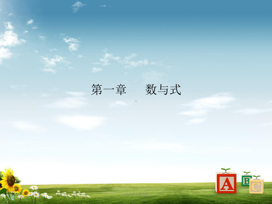 中考数学总复习第一章数与式第4课因式分解与分式课件.ppt_第1页