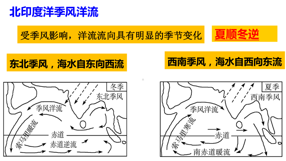 高三地理二轮微专题复习：洋流课件.pptx_第3页