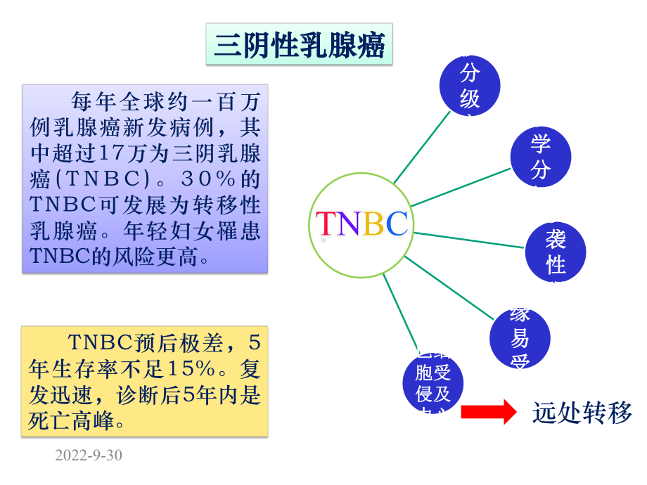 恩度联合化疗治疗转移性三阴乳腺癌病例分享.pptx_第3页