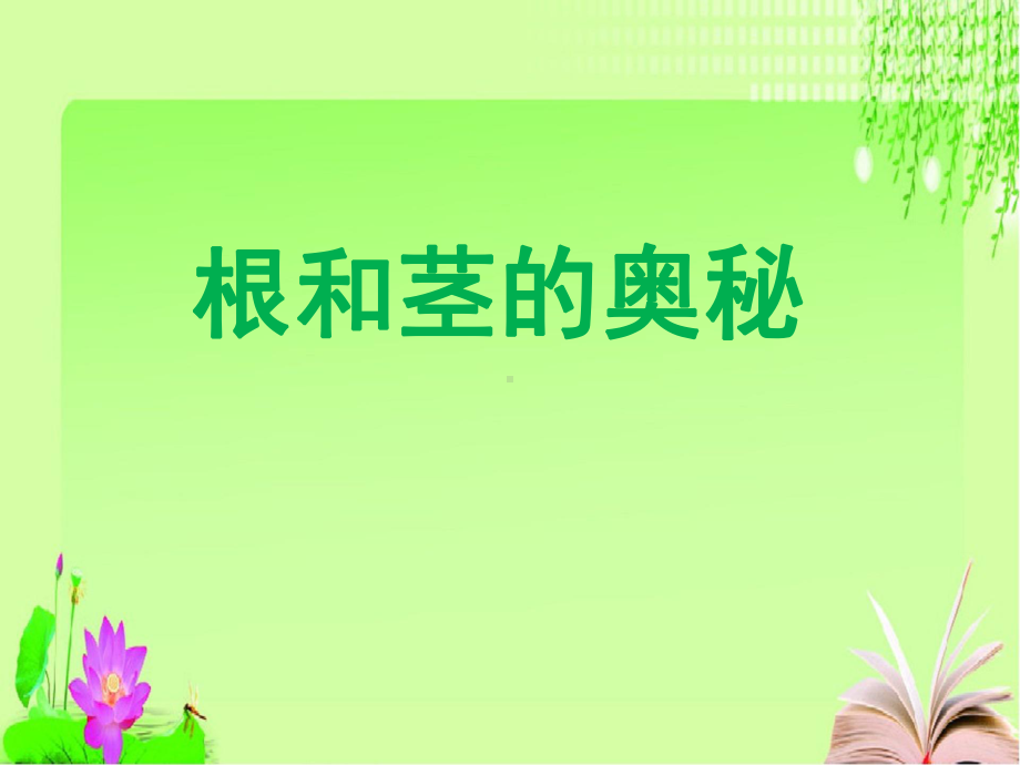 小学科学湘科版四年级上册高效课堂《根和茎的奥秘》课件.pptx_第3页