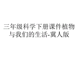 三年级科学下册课件植物与我们的生活-冀人版.pptx