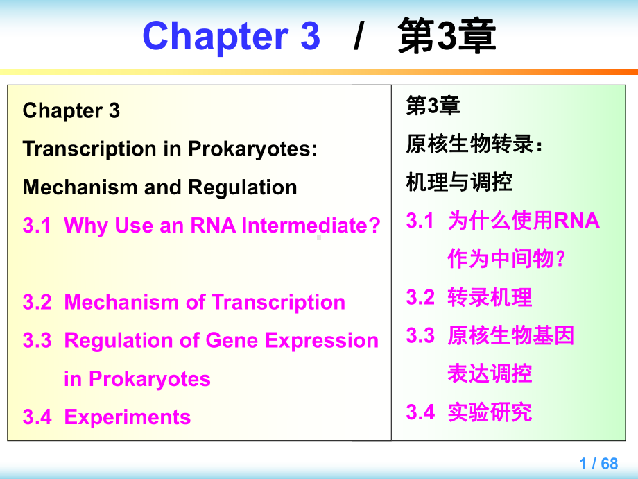 大学课程英汉对照分子生物学导论教学Chapter3课件.ppt_第1页